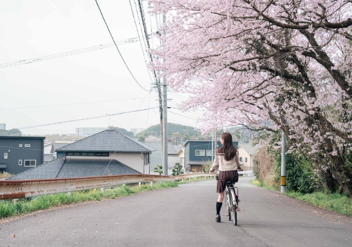 移住相談