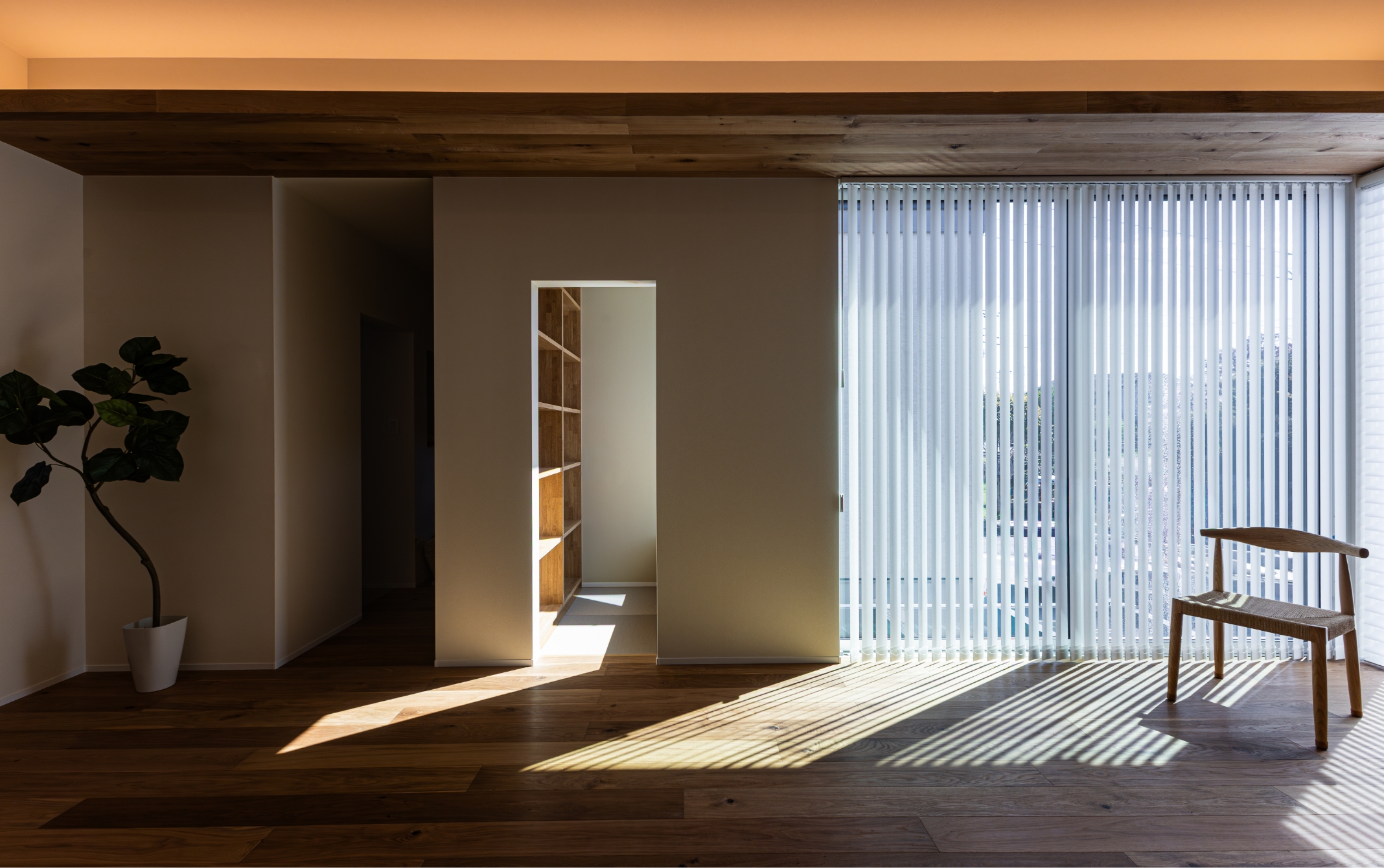 Gallery 3